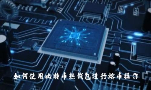 如何使用比特币热钱包进行熔币操作