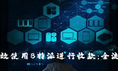 如何有效使用B特派进行收款：全流程解析