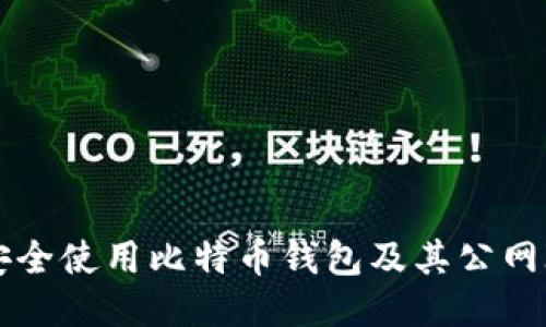 如何安全使用比特币钱包及其公网IP设置