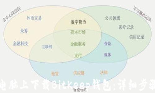 
如何从电脑上下载BitKeep钱包：详细步骤与指南
