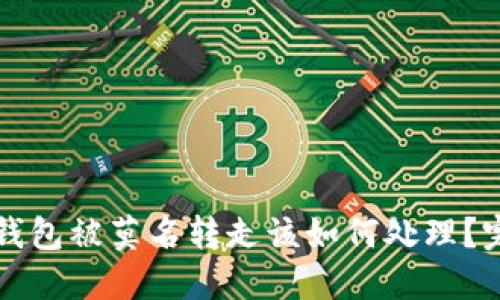 比特派钱包被莫名转走该如何处理？完整指南
