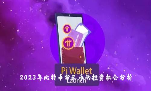 2023年比特币分叉币的投资机会分析