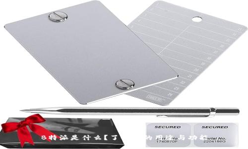 B特派是什么？了解它的用途与功能