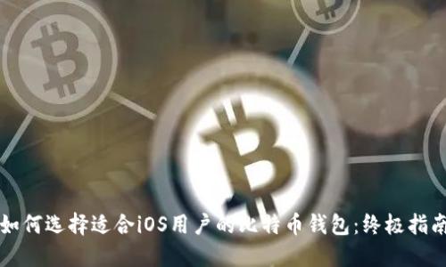 如何选择适合iOS用户的比特币钱包：终极指南