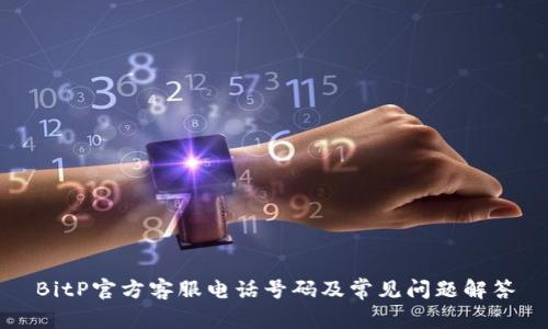 BitP官方客服电话号码及常见问题解答