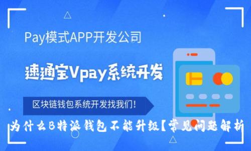 为什么B特派钱包不能升级？常见问题解析