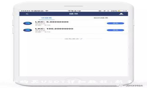  BitP购买USDT详细教程：新手必看