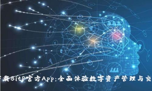 下载BitP官方App：全面体验数字资产管理与交易