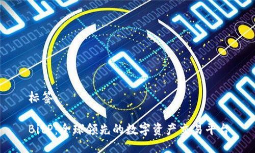 标签：

BitP：全球领先的数字资产交易平台