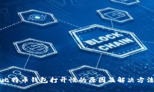 比特币钱包打开慢的原因及解决方法