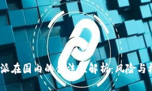  b特派在国内的合法性解析：风险与机遇 