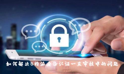 如何解决B特派身份认证一直审核中的问题