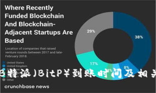 了解B特派（BitP）到账时间及相关流程