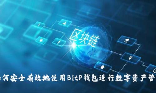 如何安全有效地使用BitP钱包进行数字资产管理