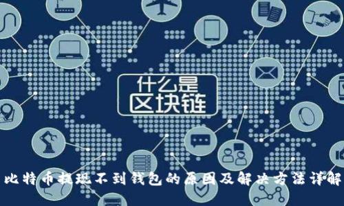比特币提现不到钱包的原因及解决方法详解