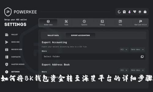 如何将BK钱包资金转至海星平台的详细步骤