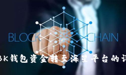 如何将BK钱包资金转至海星平台的详细步骤