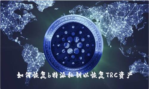 如何恢复b特派私钥以恢复TRC资产