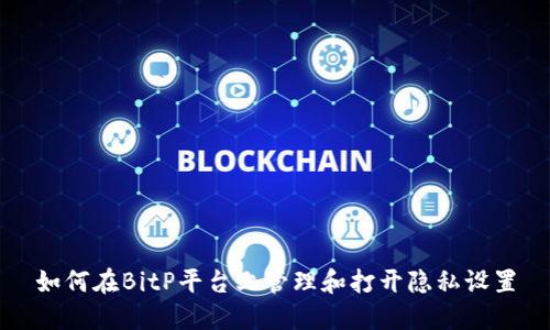 如何在BitP平台上管理和打开隐私设置