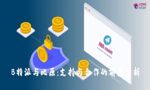 B特派与比原：支持与合作的前景分析