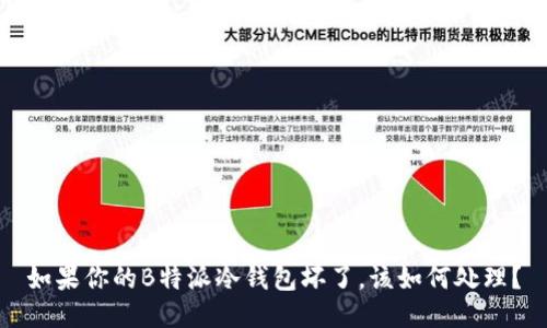 如果你的B特派冷钱包坏了，该如何处理？