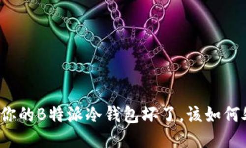 如果你的B特派冷钱包坏了，该如何处理？