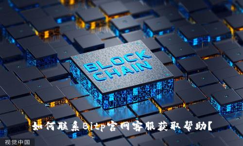 如何联系Bitp官网客服获取帮助？