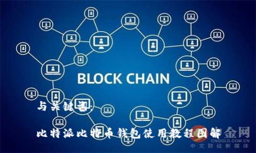 与关键词：

比特派比特币钱包使用教程图解