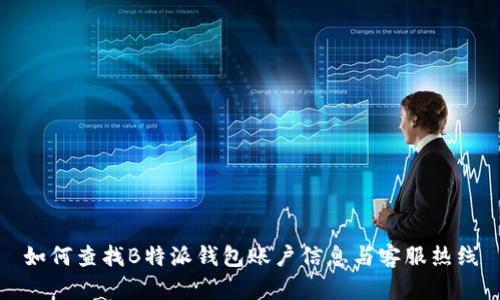 如何查找B特派钱包账户信息与客服热线