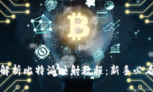 全面解析比特派映射教程：新手必看指南