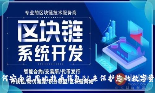 如何安全使用比特币钱包BL来保护您的数字资产