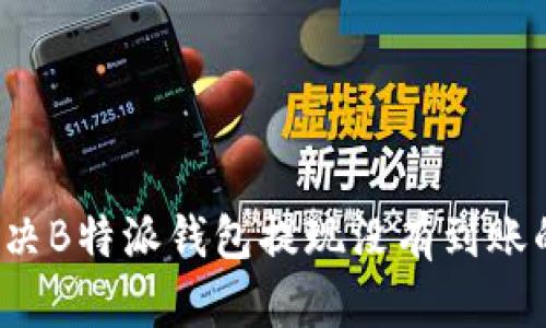 如何解决B特派钱包提现没有到账的问题？