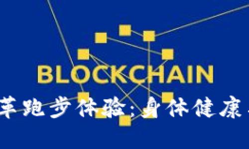 Web3游戏如何变革跑步体验：身体健康与数字经济的结合