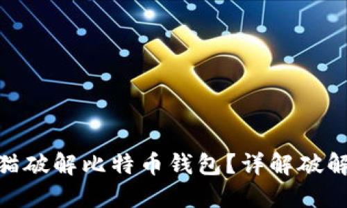 : 如何利用哈希猫破解比特币钱包？详解破解过程与防范措施