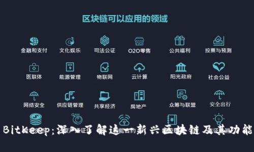 BitKeep：深入了解这一新兴区块链及其功能
