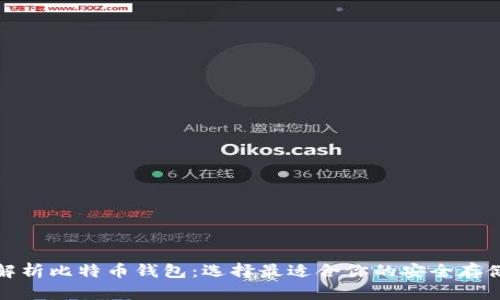 全面解析比特币钱包：选择最适合你的安全存储方案