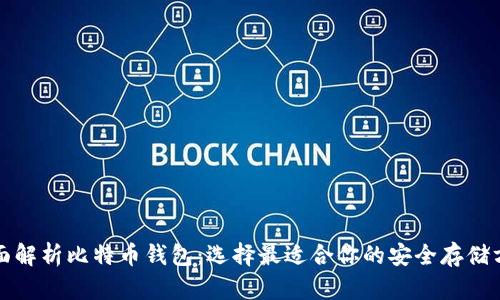 全面解析比特币钱包：选择最适合你的安全存储方案
