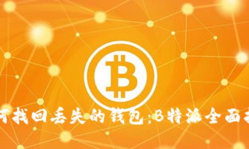 如何找回丢失的钱包：B特派全面指南