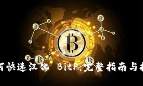 如何快速汉化 BitP：完整指南与技巧