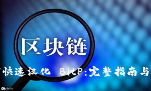 如何快速汉化 BitP：完整指南与技巧
