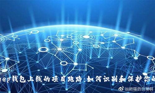 Bitkeep钱包上线的项目跑路：如何识别和保护你的投资