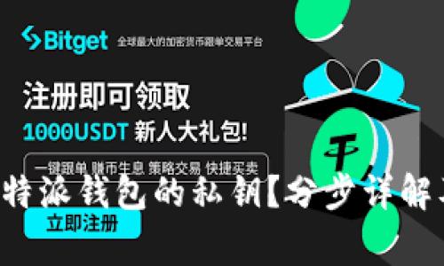 如何导出B特派钱包的私钥？分步详解及注意事项