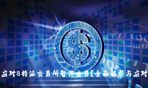 如何应对B特派交易所暂停交易？全面解析与应对策略