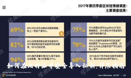 如何在比特派中安全导入私钥：详尽指南