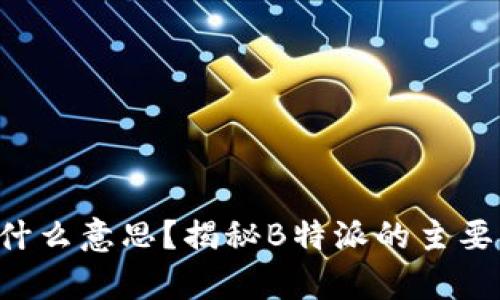“B特派”是什么意思？揭秘B特派的主要职责与功能