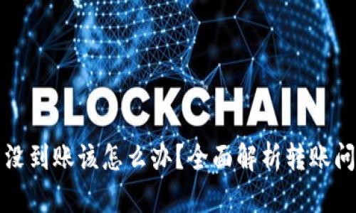 比特派转欧易没到账该怎么办？全面解析转账问题及解决方案