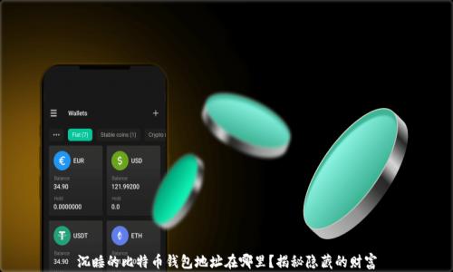 
沉睡的比特币钱包地址在哪里？揭秘隐藏的财富