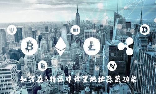 如何在B特派中设置地址隐藏功能