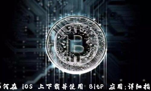 
如何在 iOS 上下载并使用 BitP 应用：详细指南