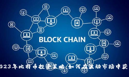 2023年比特币投资策略：如何在波动市场中获利